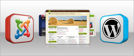 Cost-free web themes